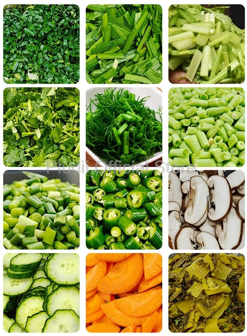 Commercial Green Onion Cutter 100W Electric Vegetable Cutter Multifunctional Pepper Slicing Shredder Cutting Machine Home Use