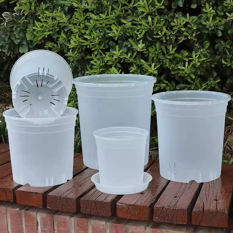 Transparent Plants Flowerpot Plastic Planters Nursery Pots Garden Seedling Planter Pots Root Control Planters Pot with Drainage