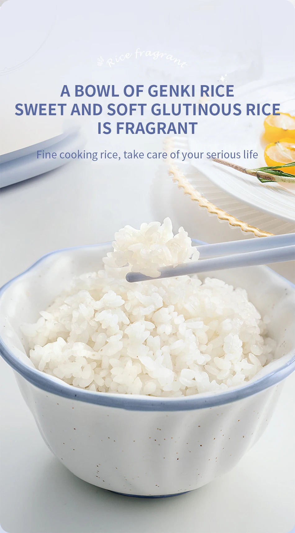 Rice cooker Household one mini small capacity rice cooker small dormitory cooking 1-2 people cooking rice pot classical style