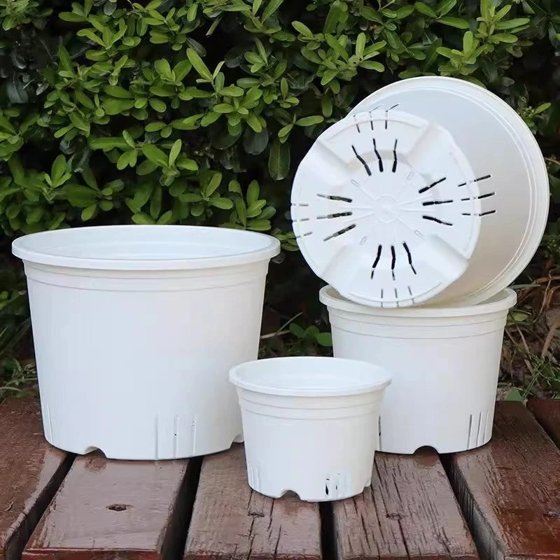 Transparent Plants Flowerpot Plastic Planters Nursery Pots Garden Seedling Planter Pots Root Control Planters Pot with Drainage