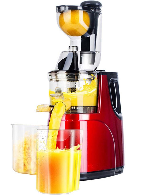 Wide Mouth Fruit Vegetable Juicer
