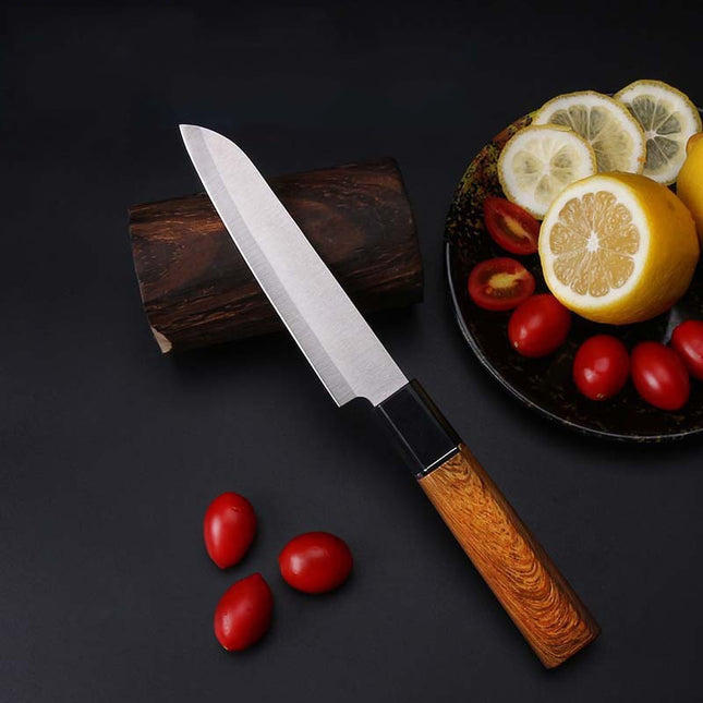 Portable Fruit Paring Knife